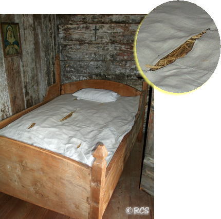 藁がはみ出しているのが見えますか?