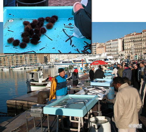 マルセイユの港の朝市